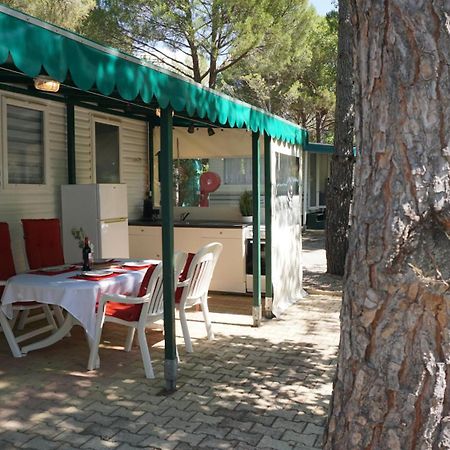 Chalets met buitenkeuken op Camping Leï Suves - JoyCasa Roquebrune-sur-Argens Eksteriør bilde
