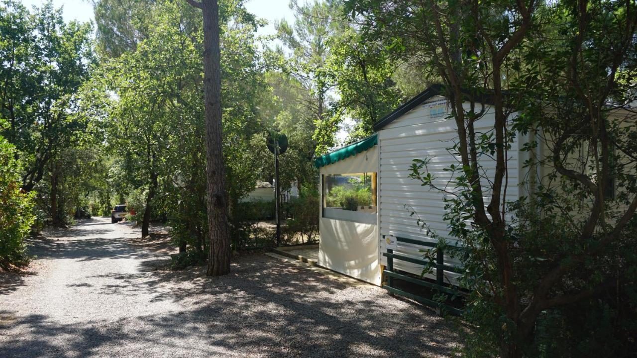 Chalets met buitenkeuken op Camping Leï Suves - JoyCasa Roquebrune-sur-Argens Eksteriør bilde