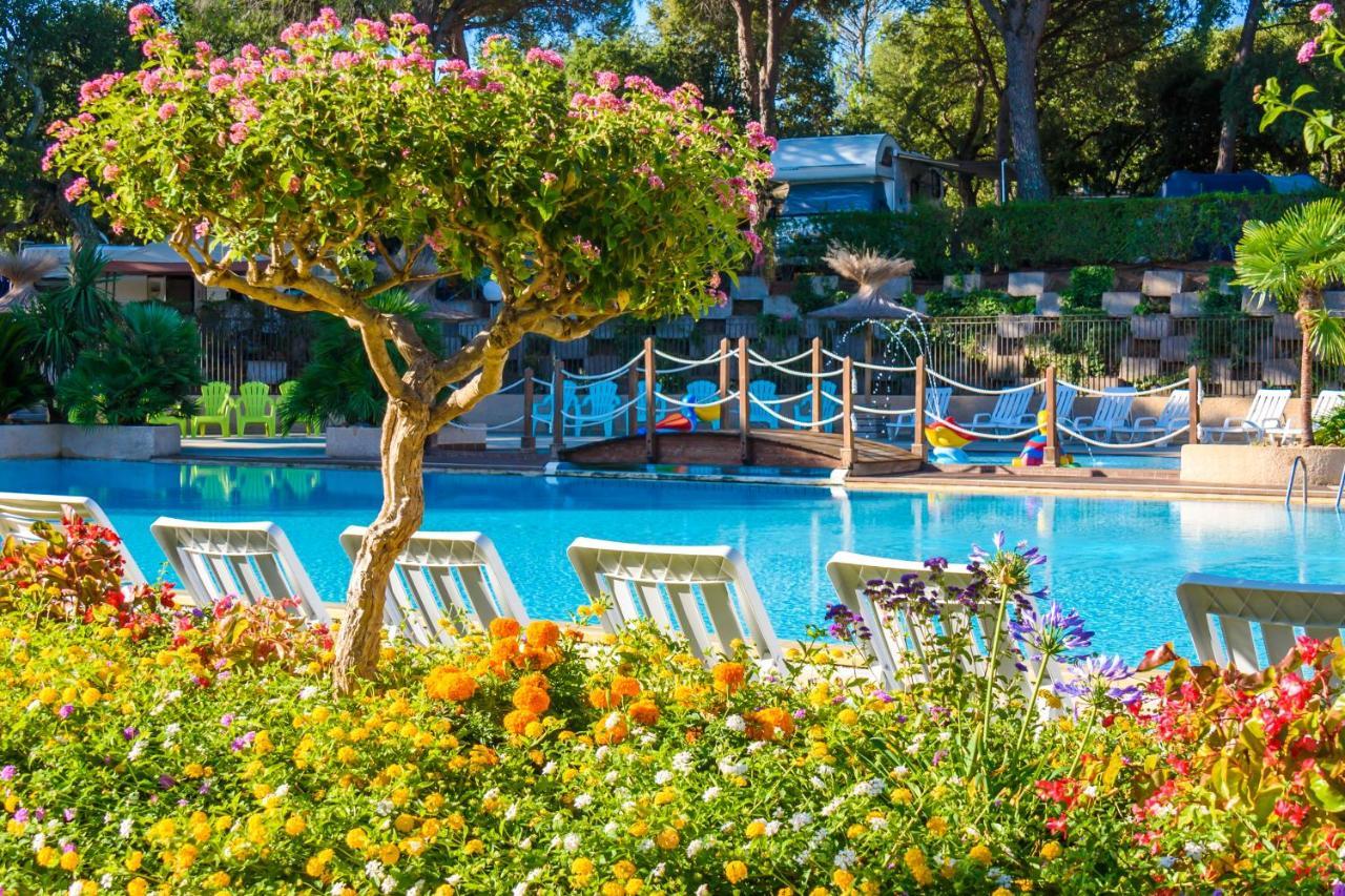 Chalets met buitenkeuken op Camping Leï Suves - JoyCasa Roquebrune-sur-Argens Eksteriør bilde
